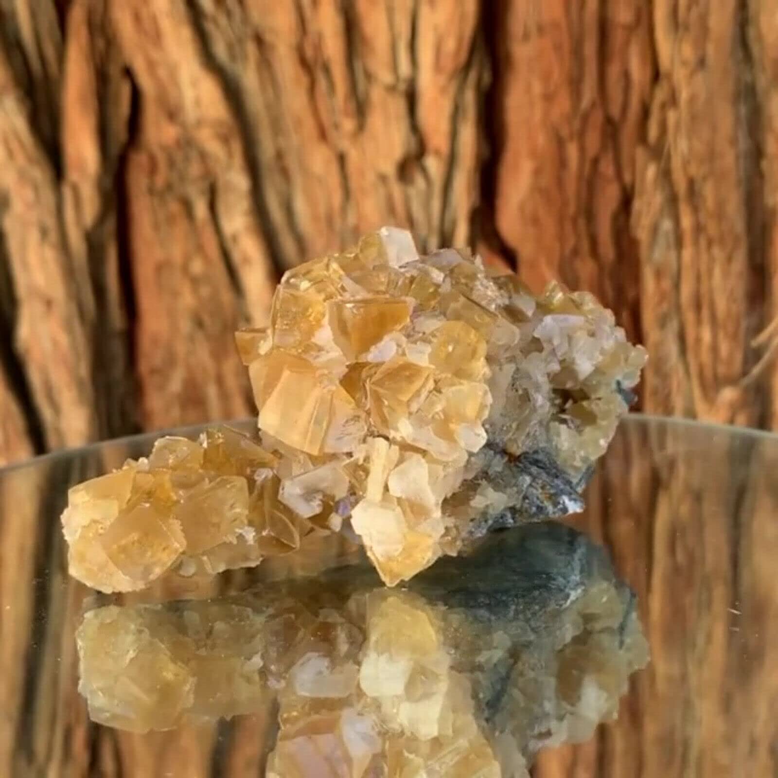 Amazon.co.jp: 10cm 150g ゴールデン ハニー イエロー カルサイト